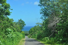 GoPahoa-Root-Page-What-To-Do-And-See