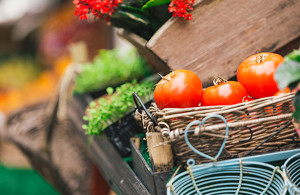 goPahoa-homepage-gallery-003-eat