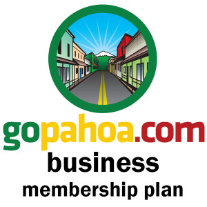 GoPahoa-Donor-BusinessPlan