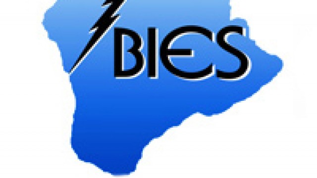 Big Island Electric Service